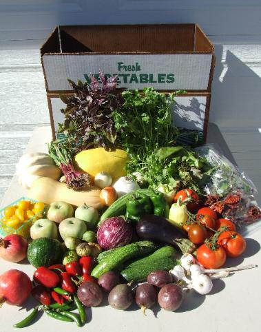 CSA box of fresh produce