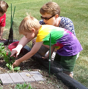 Gardening