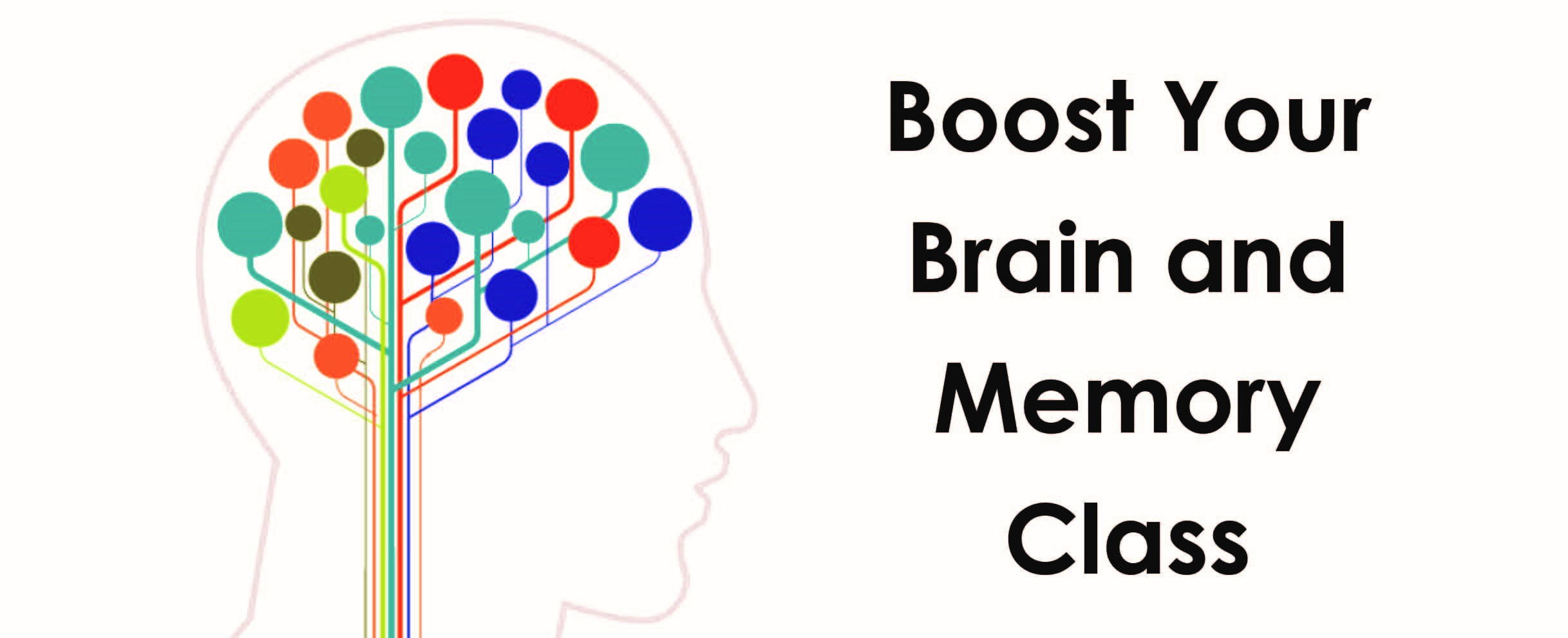 Boost Your Brain & Memory Program